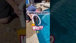 Fun Way to Check Chlorine from Salt Cell #pool #diy #unique