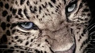 this subliminal found you for a reason, and you know exactly why
