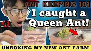 Unboxing My New Ant Farm | Ant keeping 101 | MegaFrancoTV