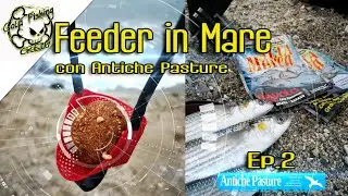 Feeder in mare con Antiche Pasture ep.2