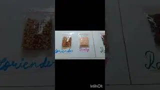 Rabi and Kharif crops project🌱 #scienceproject #rabicrops #kharifcrops