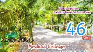 ID 1528🌴46 CENT PRIME COCONUT FARM SALE CHENNAI ECR🌴 MAHABALIPURAM RESORT🌴SMART CITY🌴COLLEGE🌴MR.ASHI