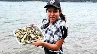 #oysters picking @ #nanimoIsland .