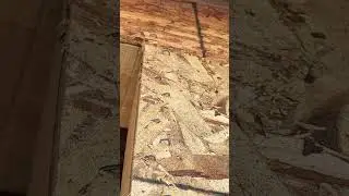 More staples #roofing #roofer #construction #roof #roofershelper #roofingcontractors