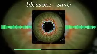 Blossom - savo