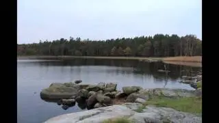 Natural Beauty in Fevik, Norway