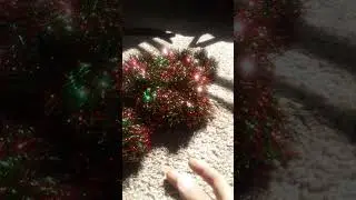 #cats with #christmas #tinsel