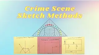 4 Ways to Sketch a Crime Scene