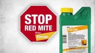 STOP RED MITE application Elector UK