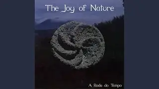A Borboleta Voando no Vazio