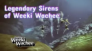 Legendary Sirens of Weeki Wachee Springs (2020)