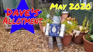 Dave's Allotment. New Humax, Digging for Ray & May Plot Tour.
