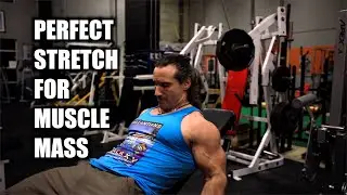 Getting the PERFECT STRETCH for MUSCLE GROWTH