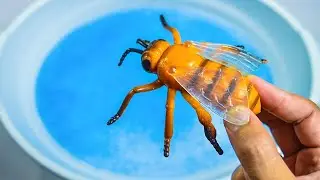 Learn about different types of animals honey bee,crocodile,lion,frog,zebra,giraffe