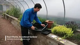 Introduction to sowing seeds | Castlebank Horticultural Centre, Lanark