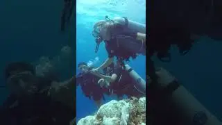 SSI Try Scuba Course! La ventana al mundo submarino! #buceo #diving #iamssi #ssi #scubadiving #cuba