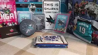6 Packs of Cards #22: Pre-Rookie of Nashville goalie and more Gretzkys