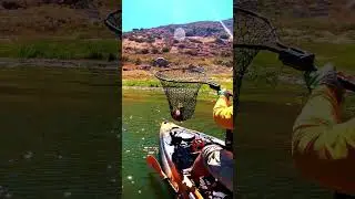 🎨 Color Swap = Bass Smash! (El Cap Kayak Fishing)