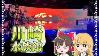 アマゾン探索ができる水族館！？美しすぎる水族館探索！霊夢と魔理沙が川崎水族館に行くよ【ゆっくり実況解説】【カワスイ】【旅行Vlog】Vol.70