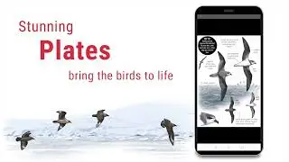 Firefinch Birding App - First Look