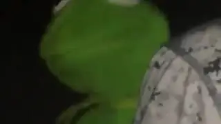 Kermit the Frog - Shawty I Don't Mind: Original: TheDAITrickster