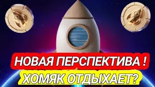 НОВАЯ ПЕРСПЕКТИВНАЯ ТАПАЛКА ЛУЧШЕ ХОМЯКА УЖЕ ВЫШЛА? ROCKET RUSH !