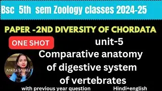 BSc 5th sem zoology P2 class|unit-5|Comparative anatomy of digestive system of vertebrates|with pyq