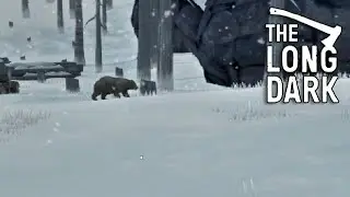 The Trapper's Cabin - The Long Dark Stalker S2 Ep234