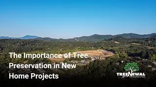 The Importance of Tree Preservation in New Home Projects