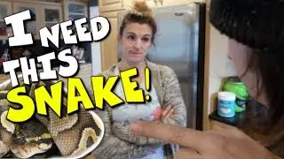 HOW TO CONVINCE YOUR PARENTS TO GET A PET SNAKE!!! | BRIAN BARCZYK
