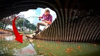 Что плавает в уличных водостоках?