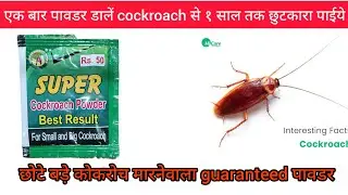 chote bade cockroach marnewala guaranteed powder #super cockroach 🪳 Powder best results.