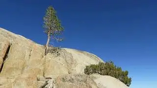 Ebbetts Pass views - California