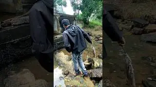There weren't many fish today.#shortvideo #food #fishing #cooking #cuttingskills