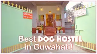 Best DOG HOSTEL Creche in Guwahati | GMC Approved |Veterinary Licensed