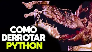 How to Defeat the Killer Snake in Python (2000)