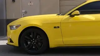 MBRP Race Catback Exhaust w/ Y-Pipe (2015 Mustang Ecoboost )