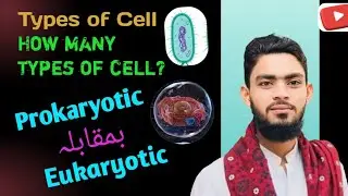 How many types of Cell? | Cell ky kitnay types hoty hain..