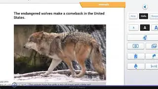 MyOn News Overview