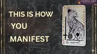 Divine Inspiration ✨ Tarot Guide to Self-Help, Self-Development & To Manifest Money, Love & Success.