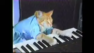 Keyboard Cat 10 HOUR LOOP - W/ weird ending
