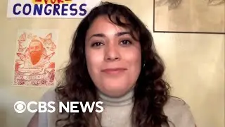 Lifelong Democrat joins Illinois House race as independent to take on controversial succession plan