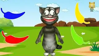 mirchi colour funny talking Tom comedy video || Billu Eating Spicy Mirchi #Motubillu