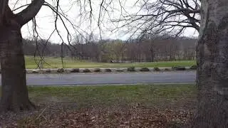 Mavic Mini Flying the Franklin Park Golf Course