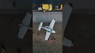 Can You Survive a Plane Crash? The Truth Will Shock You 😱✈️