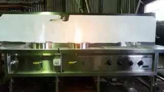 Wok Cooker: Turbo+Duckbill - Ruthgrove