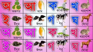 বাংলা বর্ণমালা | অ আ ক খ | Bangla Bornomala | Bangali Alphabet | বাংলা স্বরবর্ণ ও ব্যঞ্জনবর্ণ | kids