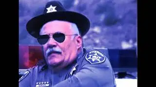 Bailbondsh Bailbondsh What Ya Gonna Do? (Bail Bondsman Song)