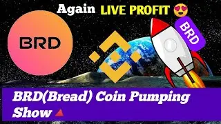 BRD [Bread] Coin Pumping time🤩 🔺#brdcoin #breadtoken
