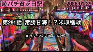 遊パチ貧乏【第291話:常勝甘海！？米収穫戦🌾 ※ マルキンかしわ店 （ 4パチ ）】#パチンコ #海物語 #新台 